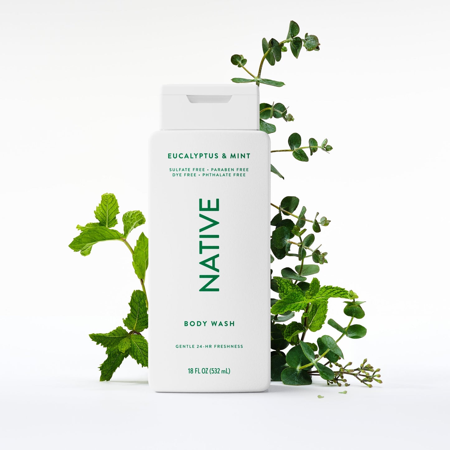 Body Wash Eucalyptus and Mint Classic 18oz Daily Care
