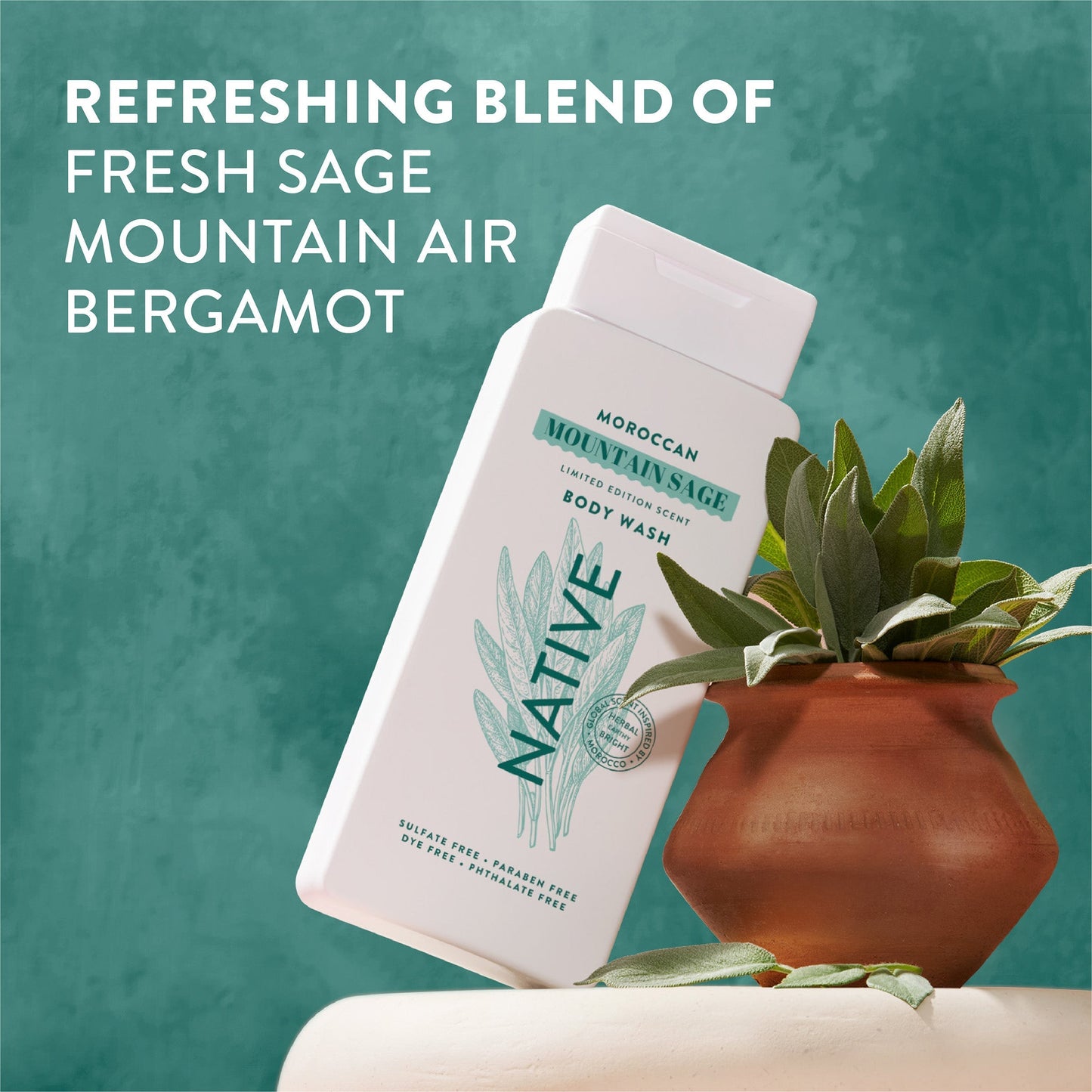 Body Wash Moroccan Mountain Sage Limited Edition 18oz Daily Care