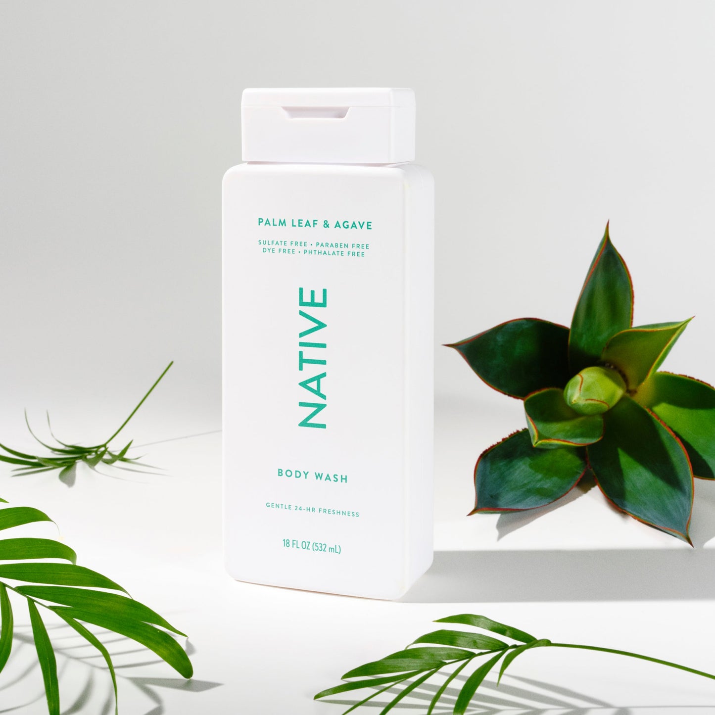 Body Wash Palm Leaf and Agave Classic 18oz Daily Care