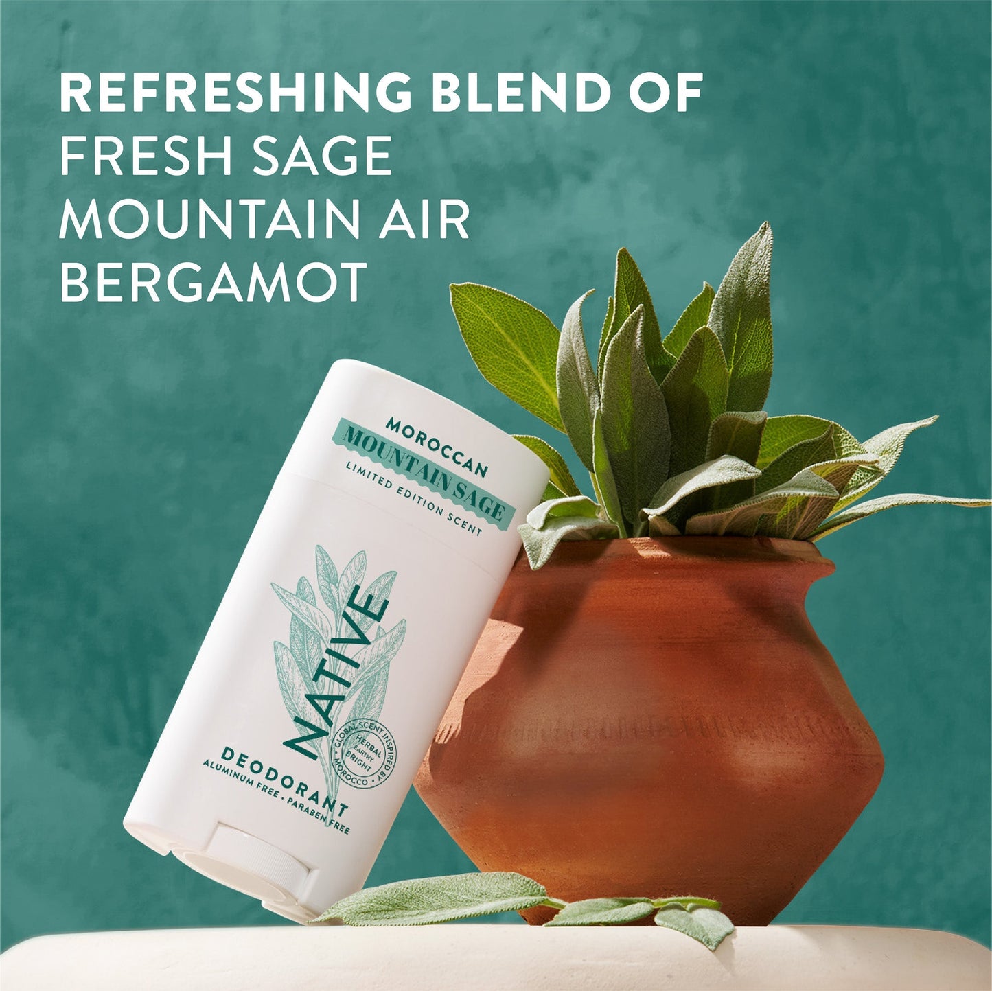 Deodorant Stick Moroccan Mountain Sage Limited Edition 2.65oz Daily Care