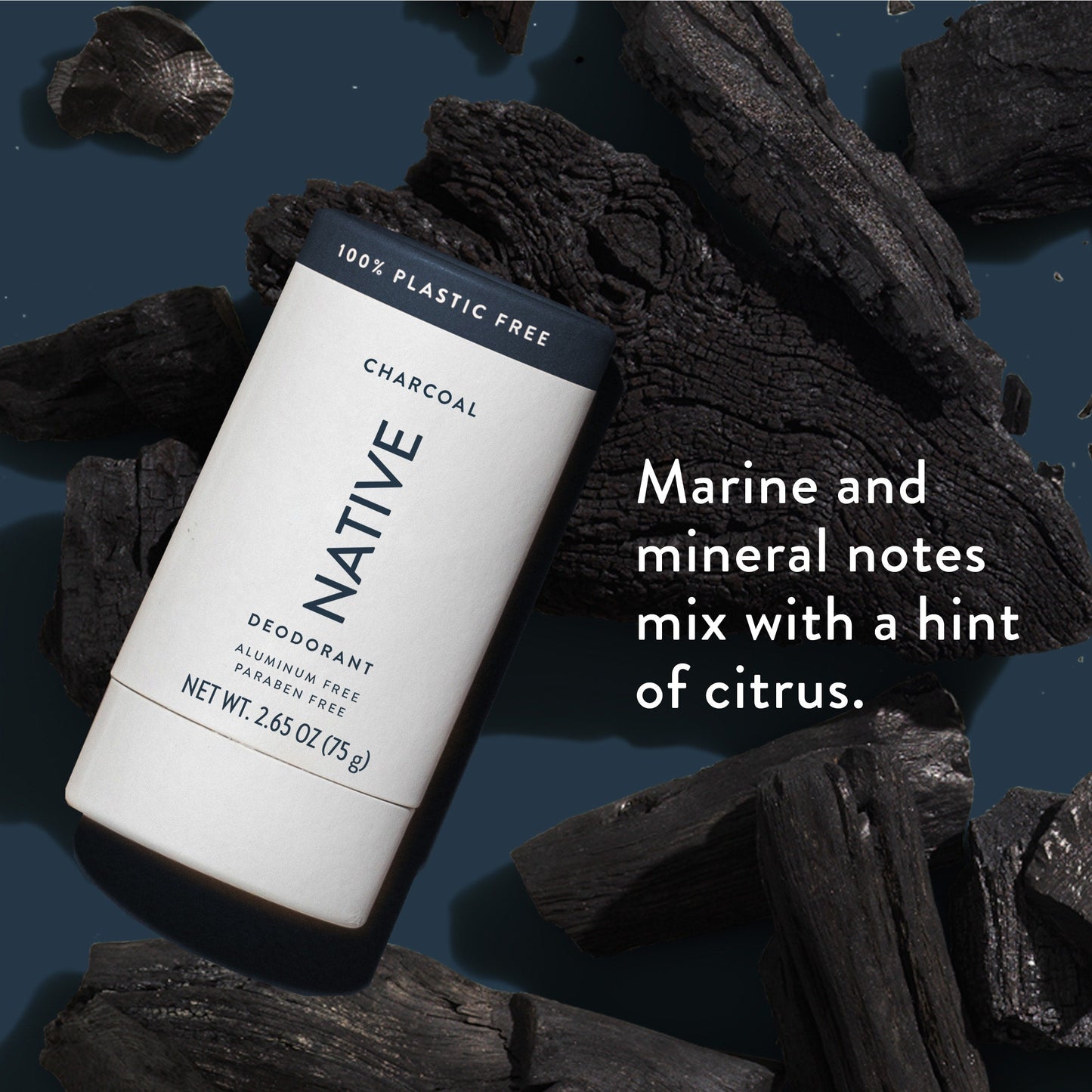 Plastic Free Deodorant Stick Charcoal Classic 2.65oz Daily Care