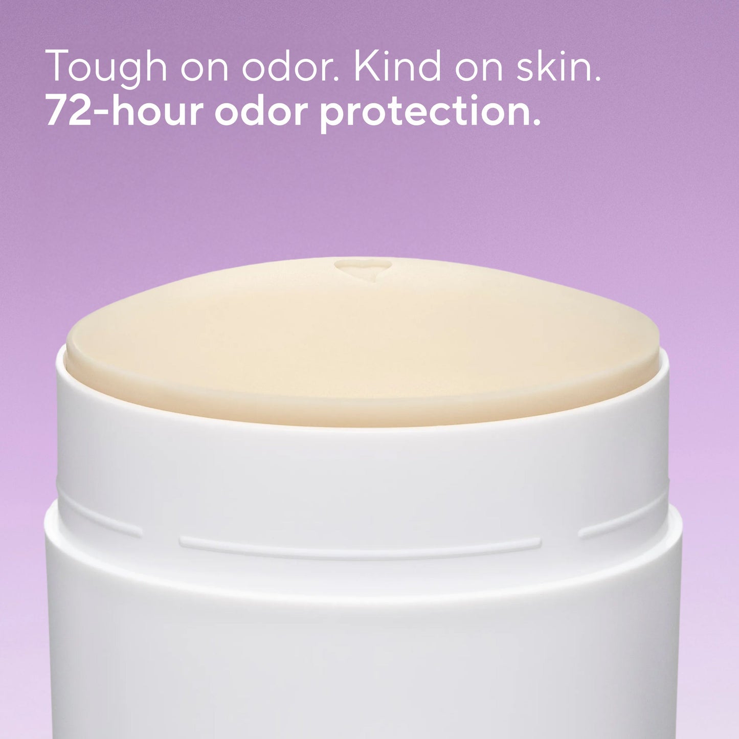 Whole Body Deodorant Stick Lilac and White Tea Classic 2.4oz Daily Care