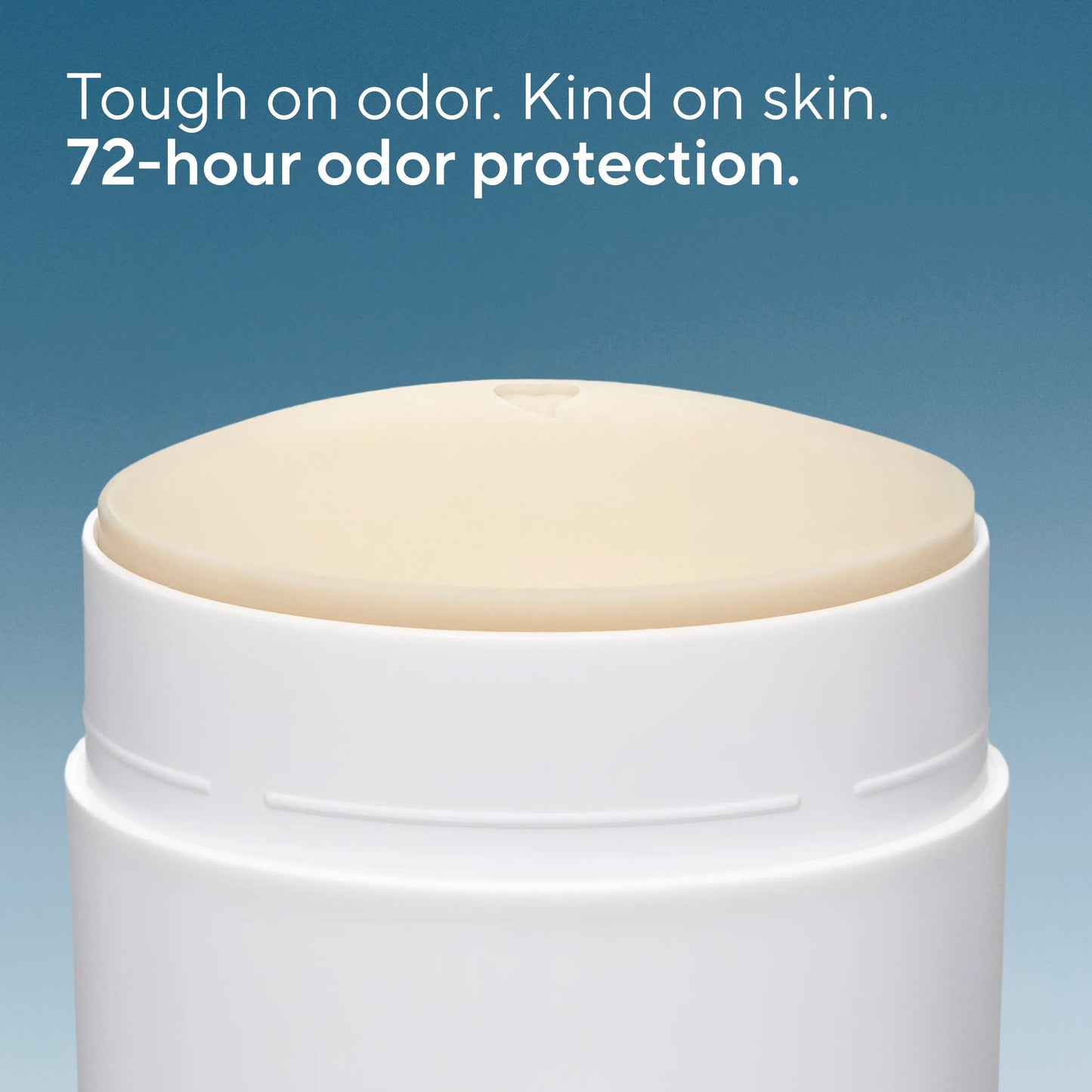Whole Body Deodorant Stick Sea Salt and Cedar Classic 2.4oz Daily Care