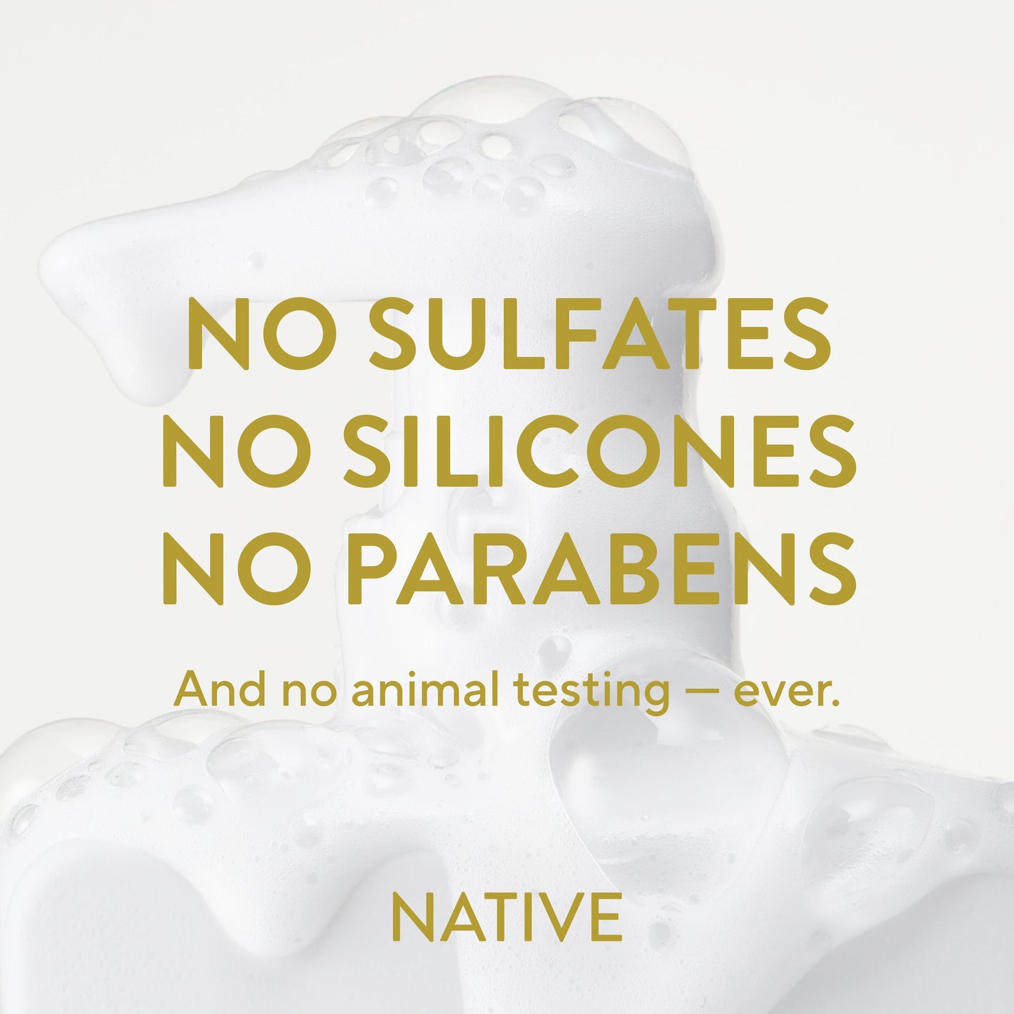 Curl Care Shampoo Coconut Milk and Turmeric Classic 16.5oz Daily Care