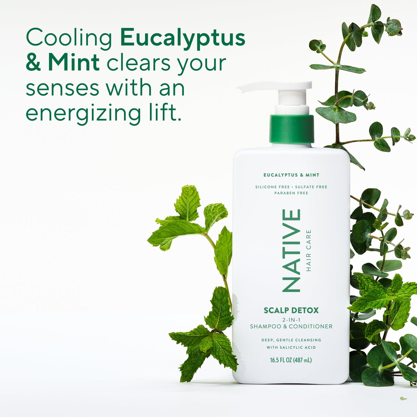 Scalp Clarifying 2 in 1 Shampoo and Conditioner Eucalyptus and Mint Classic 16.5oz Daily Care