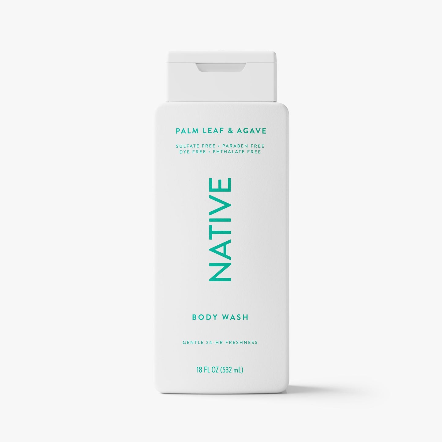 Body Wash Palm Leaf and Agave Classic 18oz Daily Care